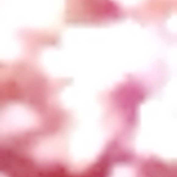 mariposa_aj